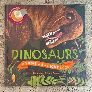 Dinosaurs Shine-a-Light Kane Miller Childrens Picture Daycare Homeschool Book